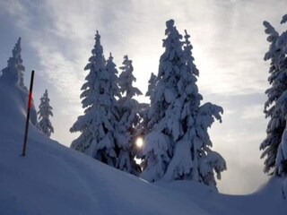 Appartement Gaschurn Environnement 21