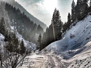 Appartement Gaschurn Environnement 33