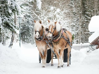 Apartment Grundlsee  28