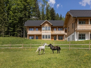 Ferienhaus Grundlsee  28