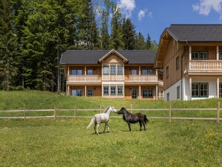 Ferienhaus Grundlsee  35