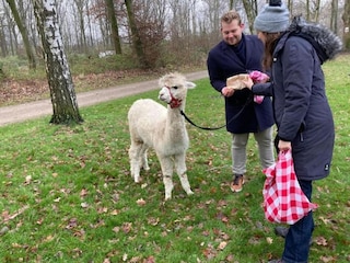 Maison de vacances Lanaken Environnement 20