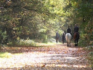 Maison de vacances Lanaken Environnement 23