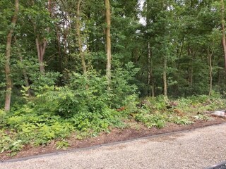 Vakantiehuis Lanaken Omgeving 12