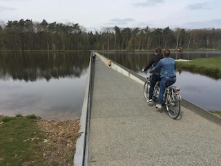 Maison de vacances Lanaken Environnement 19