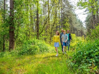 Maison de vacances Lanaken Environnement 15