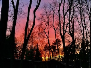 Maison de vacances Lanaken Environnement 16