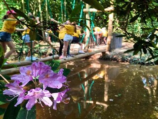 Casa de vacaciones Lanaken Entorno 32