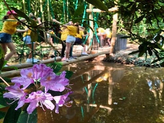 Maison de vacances Lanaken Environnement 25