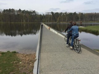 Vakantiehuis Lanaken Omgeving 28