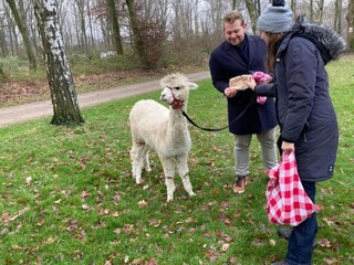 Vakantiehuis Lanaken Omgeving 22