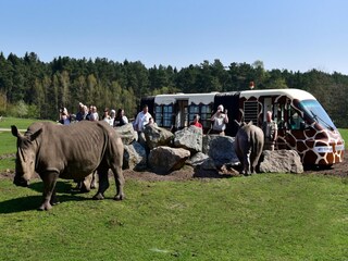 Vakantiehuis Eickeloh  19