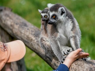 Holiday house Eickeloh  40