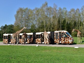 Ferienhaus Eickeloh  20