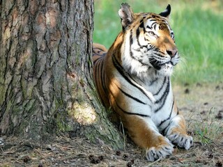 Casa de vacaciones Eickeloh  31