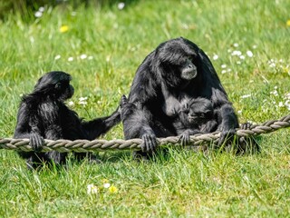 Casa per le vacanze Eickeloh  38