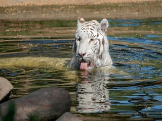 Holiday house Eickeloh  26