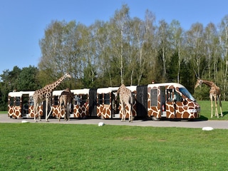 Holiday house Eickeloh  26