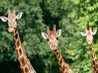 Casa de vacaciones Eickeloh  27