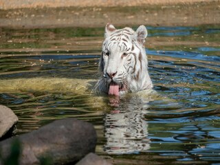 Casa per le vacanze Eickeloh  28