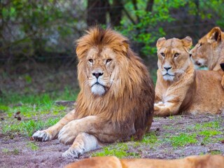 Casa de vacaciones Eickeloh  29