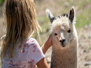 Casa per le vacanze Eickeloh  32