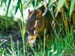 Casa de vacaciones Eickeloh  33