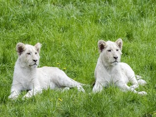 Casa de vacaciones Eickeloh  30