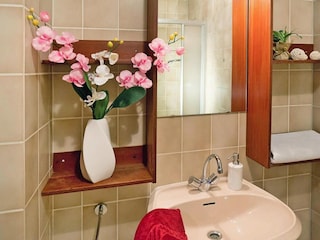 Apartment Neuschönau Ausstattung 13