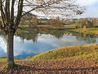 Apartamento Neuschönau  24