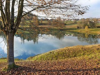 Appartamento Neuschönau  24