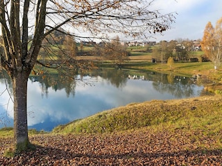 Vakantiepark Neuschönau Omgeving 22