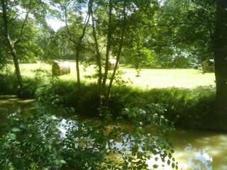 Casa per le vacanze Sainte-Maure-de-Peyriac Ambiente 29