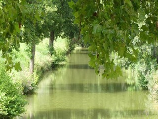 Vakantiehuis Sainte-Maure-de-Peyriac Omgeving 30