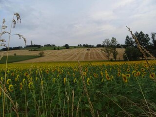 Vakantiehuis Sainte-Maure-de-Peyriac Omgeving 30