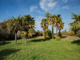 Vakantiehuis Sainte-Maure-de-Peyriac Omgeving 33