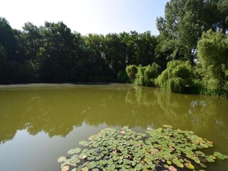 Vakantiehuis Sainte-Maure-de-Peyriac Omgeving 39