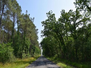Vakantiehuis Sainte-Maure-de-Peyriac Omgeving 13