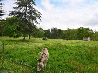 Vakantiehuis Sainte-Maure-de-Peyriac Omgeving 15