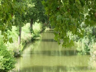 Vakantiehuis Sainte-Maure-de-Peyriac Omgeving 15