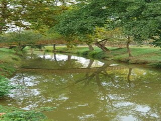 Casa per le vacanze Sainte-Maure-de-Peyriac Ambiente 18