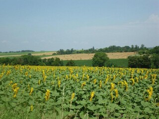 Vakantiehuis Sainte-Maure-de-Peyriac Omgeving 19