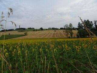 Vakantiehuis Sainte-Maure-de-Peyriac Omgeving 34