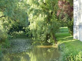 Vakantiehuis Sainte-Maure-de-Peyriac Omgeving 35