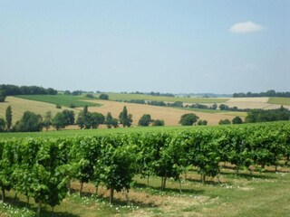 Vakantiehuis Sainte-Maure-de-Peyriac Omgeving 21