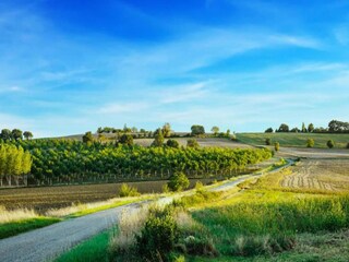 Casa de vacaciones Sainte-Maure-de-Peyriac Entorno 22