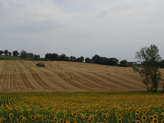 Vakantiehuis Sainte-Maure-de-Peyriac Omgeving 24