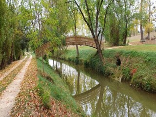 Maison de vacances Sainte-Maure-de-Peyriac Environnement 23