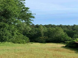 Vakantiehuis Sainte-Maure-de-Peyriac Omgeving 26