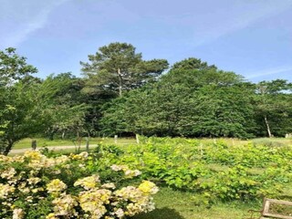 Vakantiehuis Sainte-Maure-de-Peyriac Omgeving 38